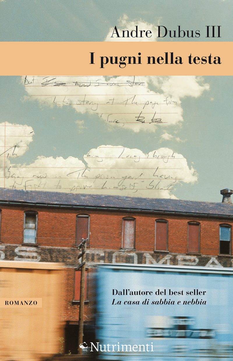 In copertina treni merci americani con i vagoni colorati