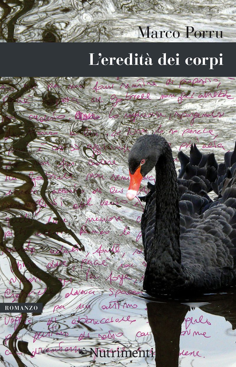 In copertina cigno nero nuota sulle acque mosse da piccole onde