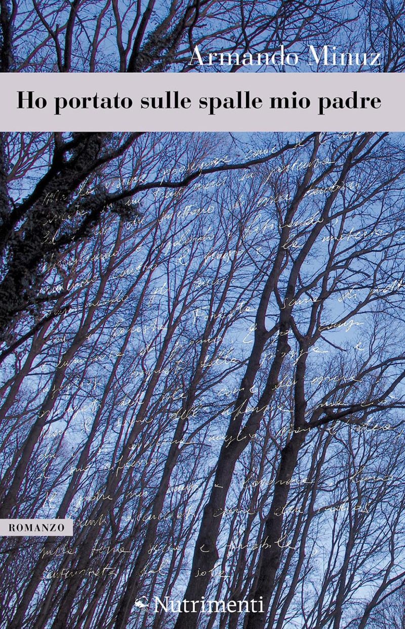 In copertina bosco di faggi d'inverno