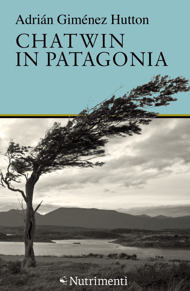 In copertina paesaggio patagonico, in primo piano albero piegato dal vento.