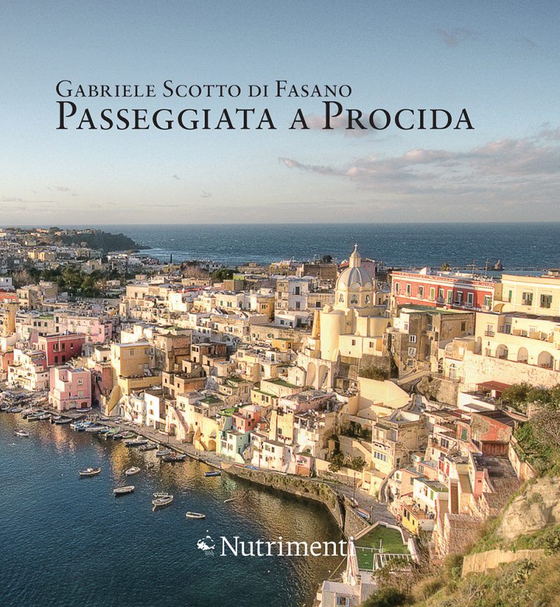 In copertina vista dall’alto di Corricella