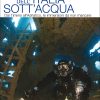 In copertina un subacqueo nella pancia di un relitto inabissato