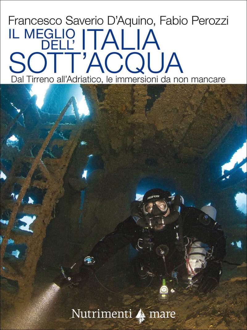 In copertina un subacqueo nella pancia di un relitto inabissato