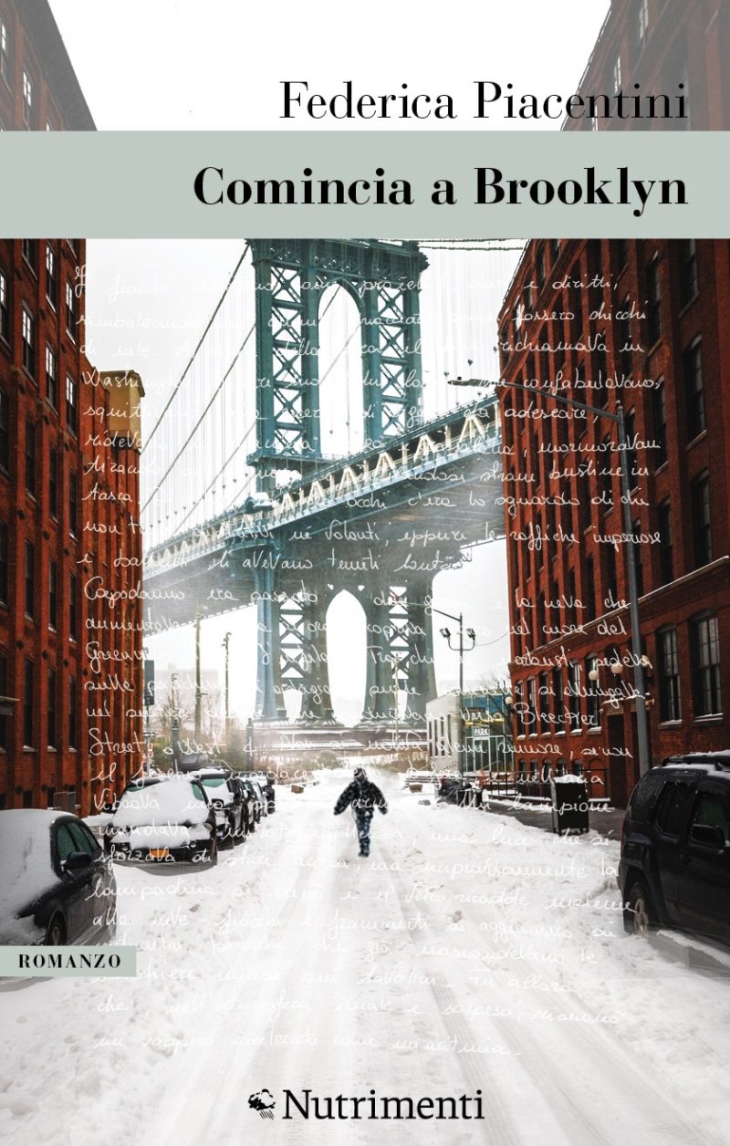 In copertina un foto che raffigura il ponte di Brooklyn tra i palazzi e in mezzo una figura che si muove in mezzo alla neve.