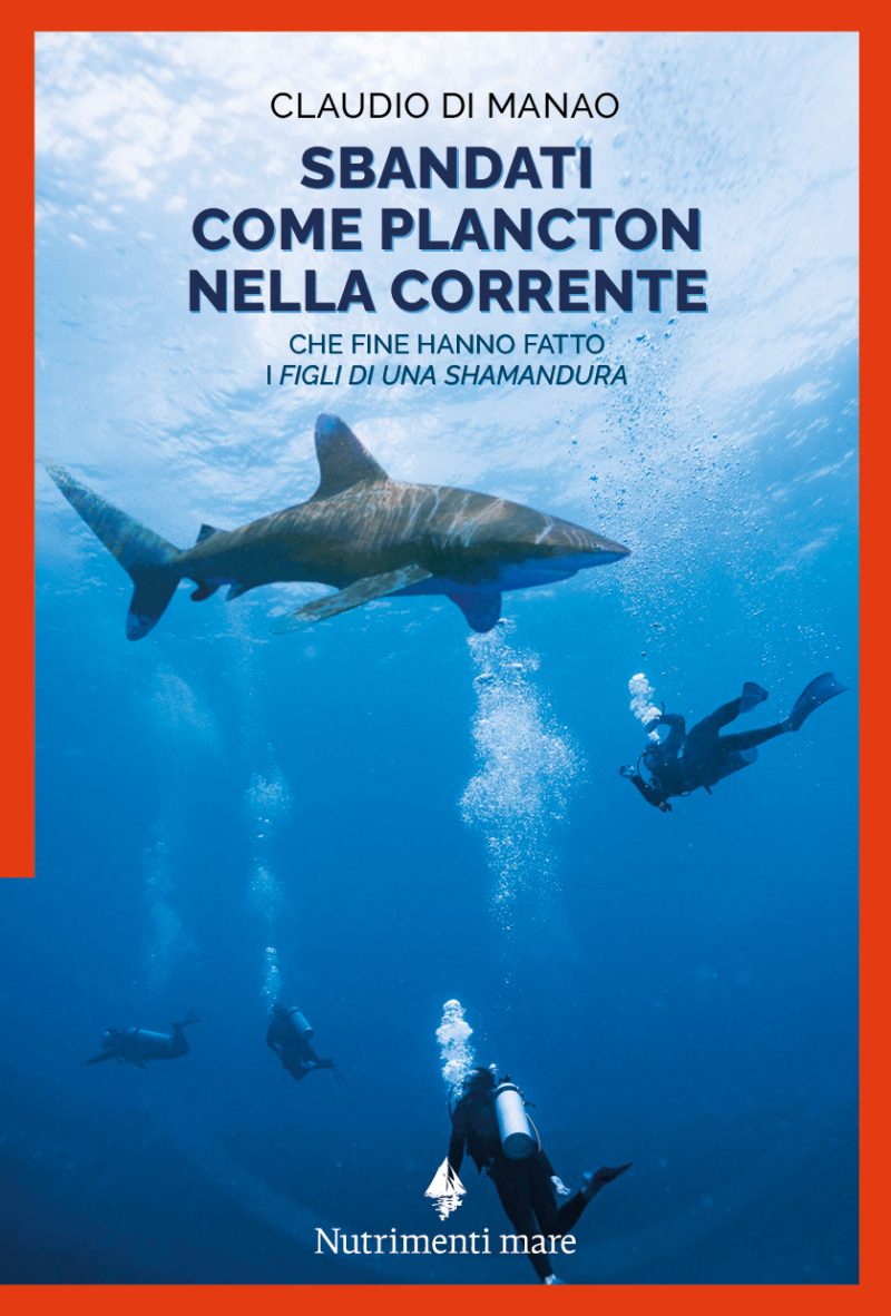 Nella foto di copertina quattro sub in immersione, solo uno di loro si accorge del passaggio dello squalo.