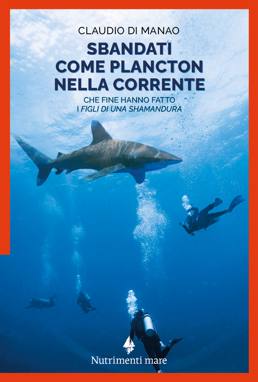 Nella foto di copertina quattro sub in immersione, solo uno di loro si accorge del passaggio dello squalo.