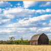 Nella foto di copertina il grande fienile di una fattoria americana tra il bosco e un campo di grano sotto a un immenso cielo azzurro cosparso di piccole nuvole bianche.